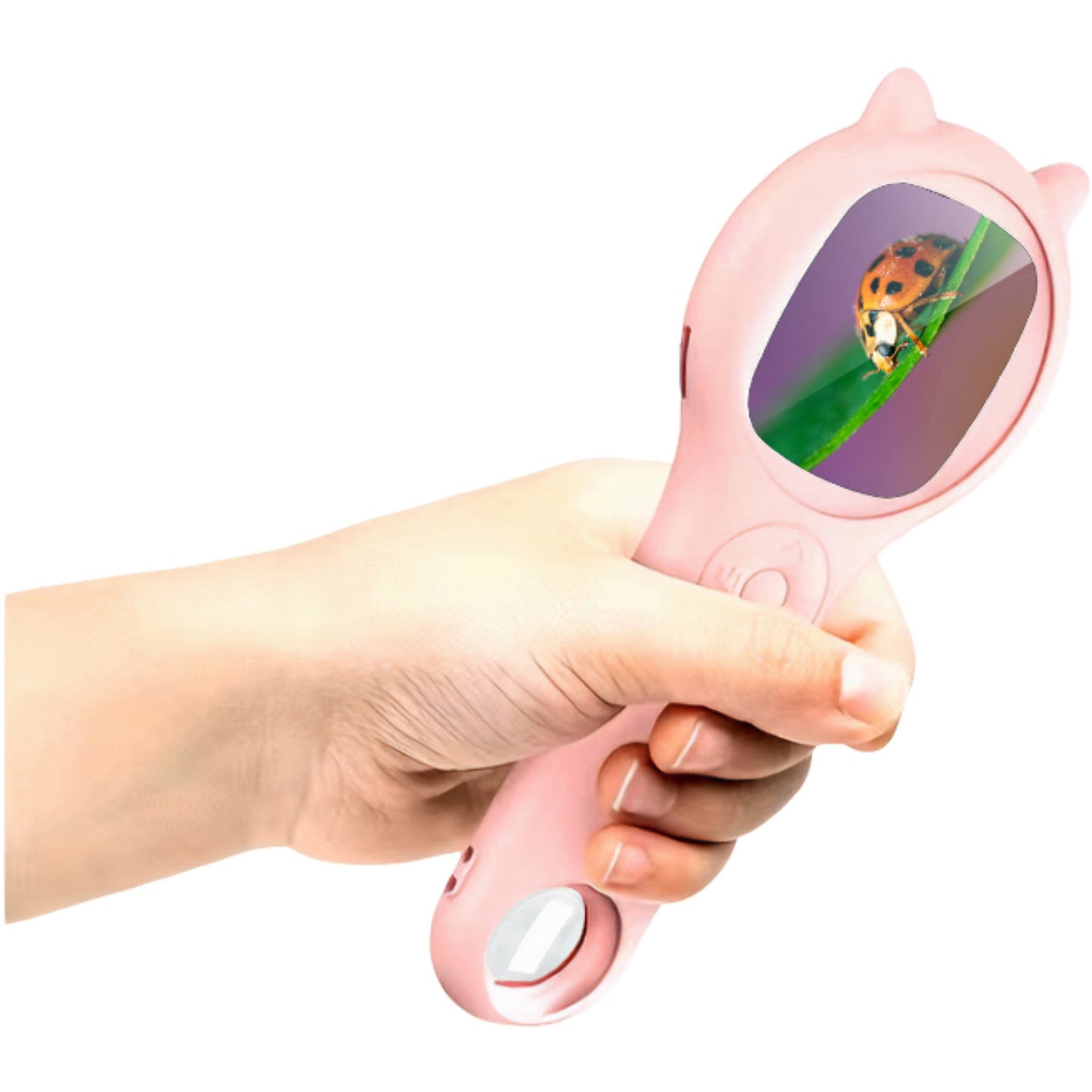 Young Explorers Handheld Microscope